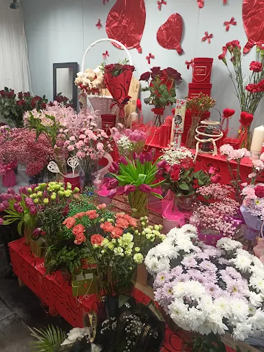 Sezonowe Klimaty Agnieszka Skora